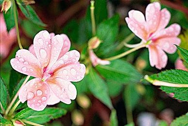 《艾尔登法环》Steam配置要求上线后迅速被撤下